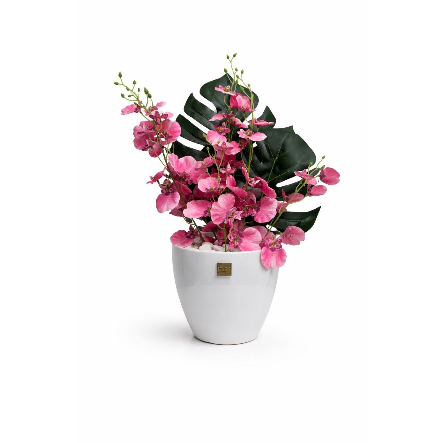 Pink Orchid Elegance
