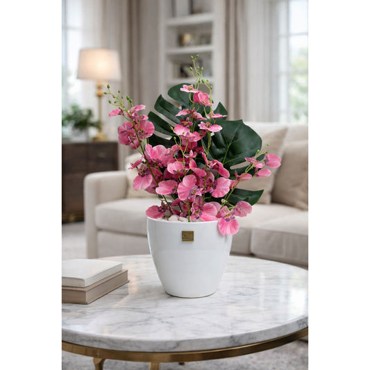 Pink Orchid Elegance