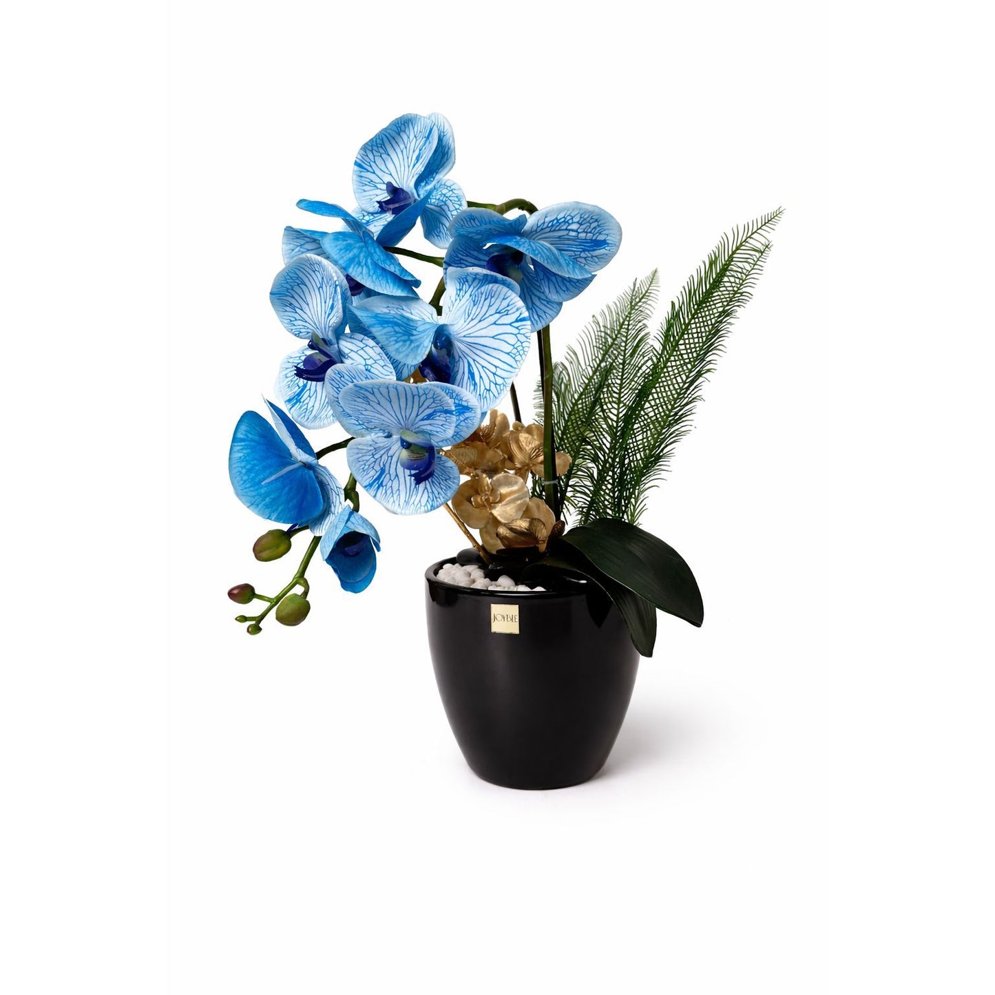Azure Luxe Orchid