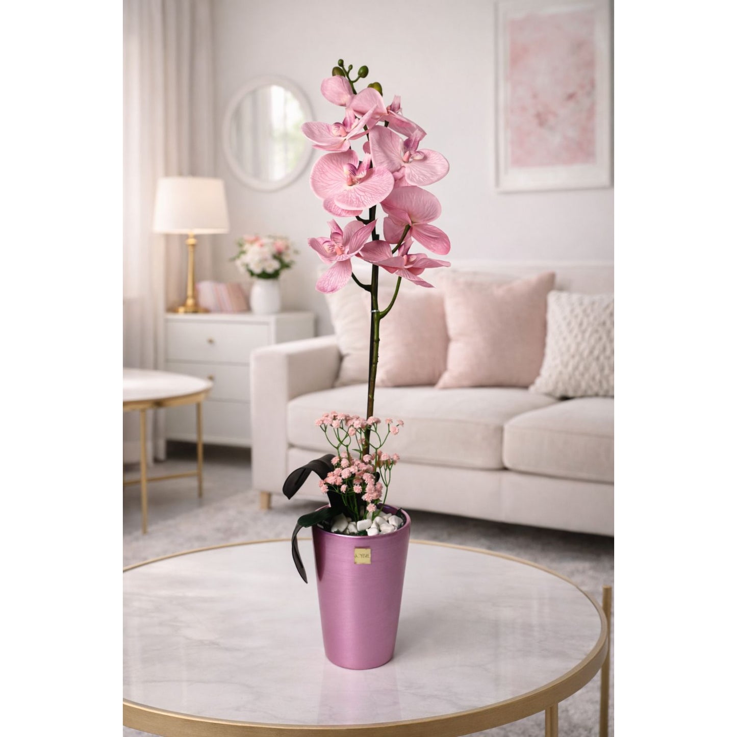 Blush Grace Orchid