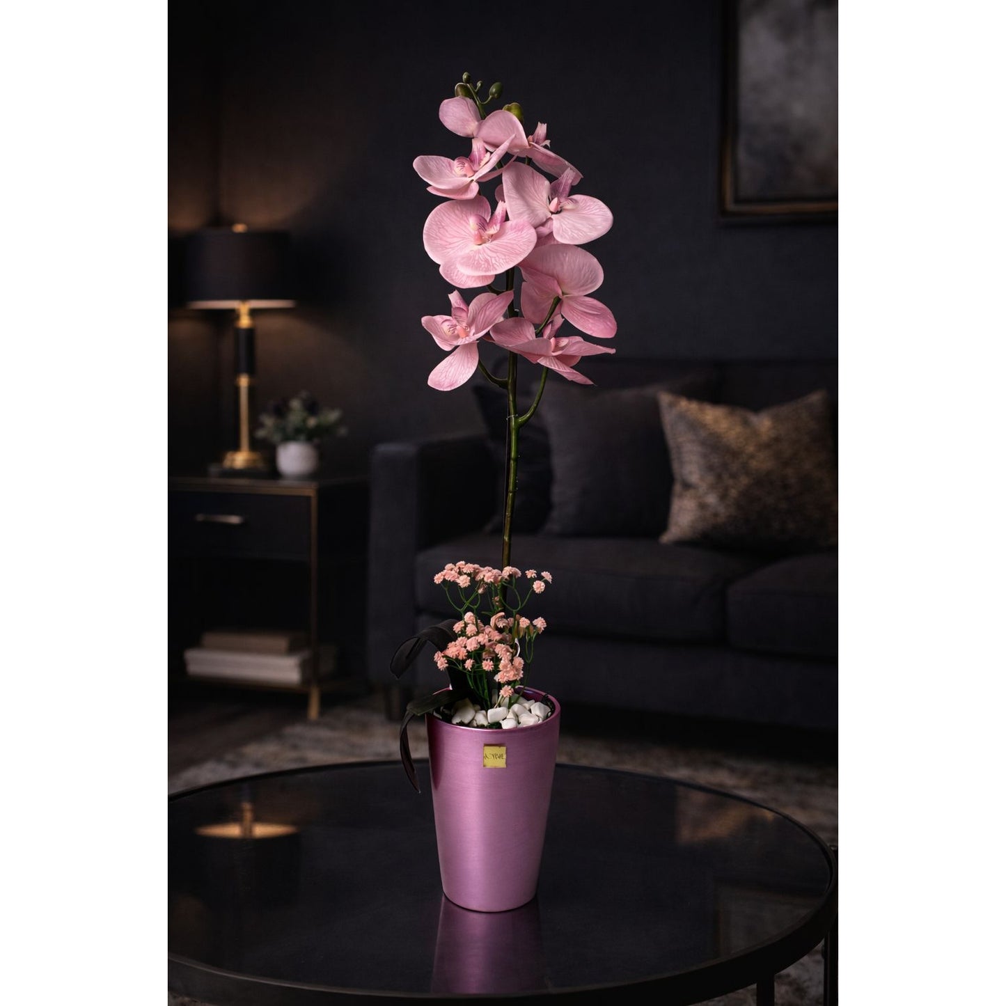 Blush Grace Orchid