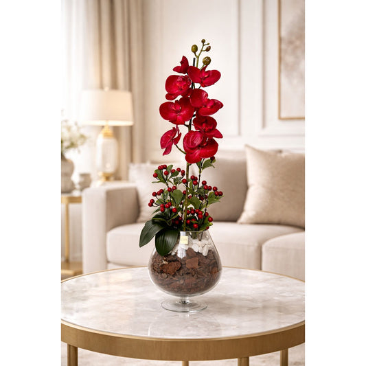 Crimson Royale Orchid