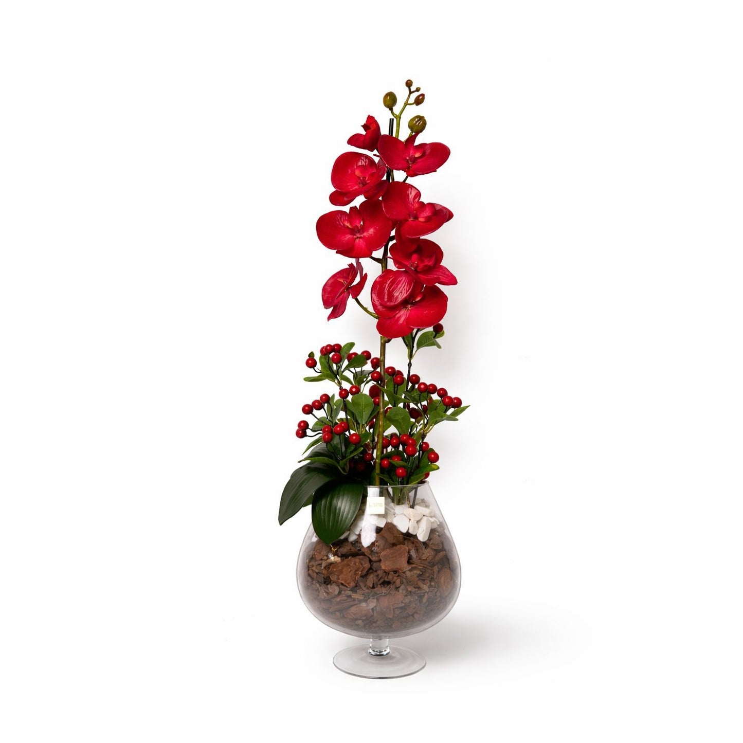 Crimson Royale Orchid
