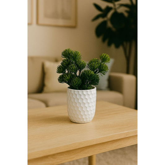Modern Greenery in White Textured Pot
